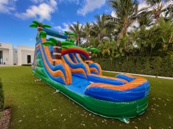 Jungle Trek Slide (WET/DRY)