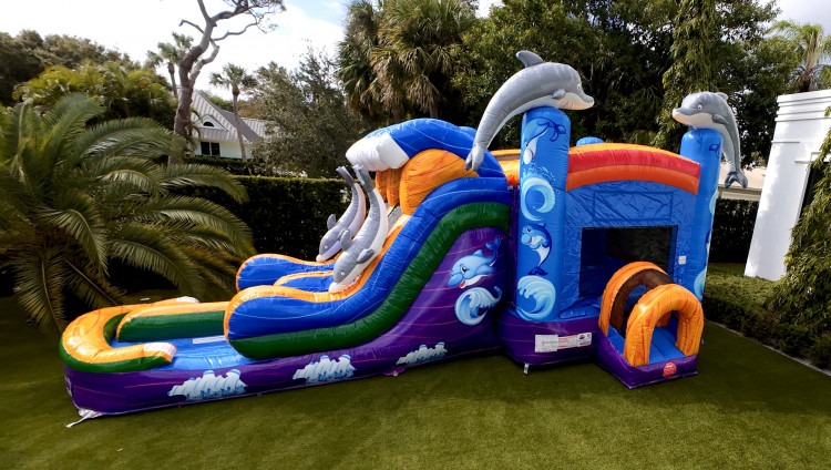 Bounce House Slide Combos