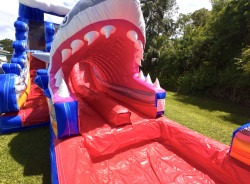 20' Dual Lane Shark Slide extended lane dji fly 20250911 130256 0134 1757611615278 photo 1757613252 20' Dual Lane Shark Slide extended lane