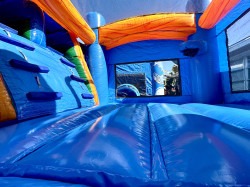 IMG 1367 1772240669 Dual Lane Dolphin Combo (WET/DRY)