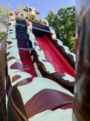 rodeo rush water slide rental palm beach 1775701639 24' Rodeo Rush Waterslide
