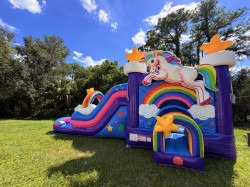 unicorn combo palm beach county 1791345064 Dual Lane Unicorn Combo (WET/DRY)